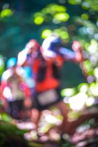 BIB: 
                            <button type="button" onclick="openModal(19329850)" class="btn btn-primary btn-sm float-right btn-popup" data-toggle="modal" data-target=".modal-high-quality">
                        <i class="fas fa-shopping-cart"></i> Add to Cart
                    </button>
                                            <button type="button" onclick="isThisMe(19329850, true)" class="btn btn-success btn-sm float-right btn-popup btn-isme hidden" data-toggle="tooltip" data-placement="bottom" title="นี่คือรูปของคุณใช่ไหม คลิกที่นี่เพื่อเอาเข้าอัลบั้ม">
                        <i class="fas fa-plus"></i> Add to album
                    </button>
                    <button type="button" onclick="isThisMe(19329850, false)" class="btn btn-warning btn-sm float-right btn-popup btn-isnotme hidden">
                        <i class="fas fa-ban"></i> Remove from album
                    </button>